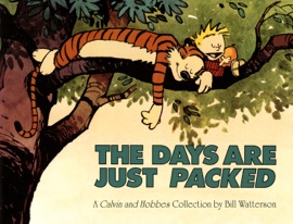 Book The Days Are Just Packed - Bill Watterson