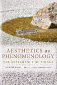 Aesthetics as Phenomenology - Günther Figal & Jerome Veith