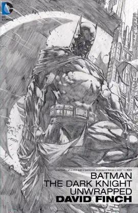 Read: Batman: The Dark Knight Unwrapped Book