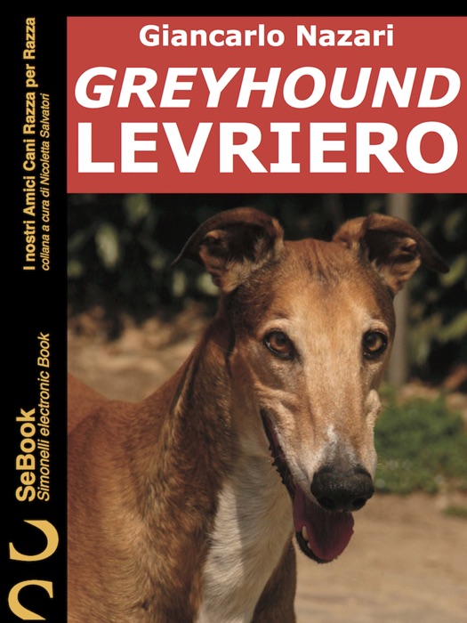 GREYHOUND LEVRIERO
