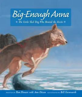 Read: Big-Enough Anna Book