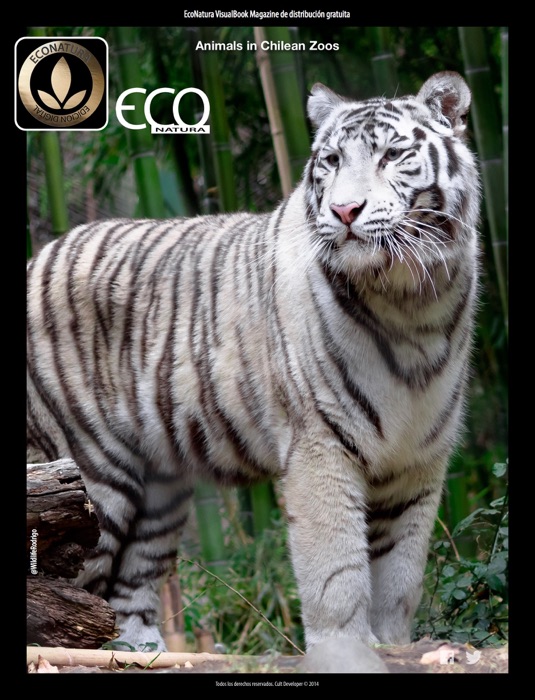 EcoNatura: Animals in Chilean Zoos