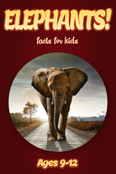 Elephant Facts For Kids 9-12