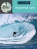 Book The perfect wave