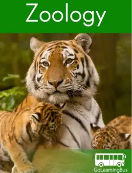 Zoology