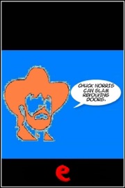 Chuck Norris Can Slam Revolving Doors. - AA.VV.
