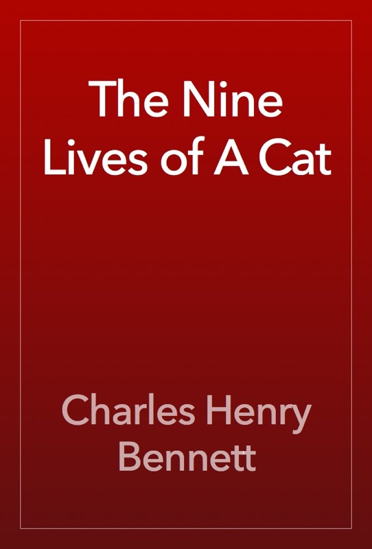The Nine Lives of A Cat