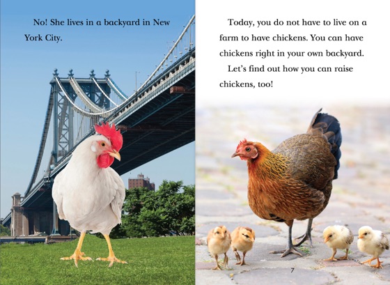 Backyard Chickens On Apple Books