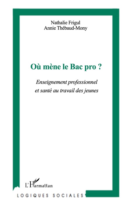 Où mène le Bac pro ?