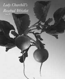 Read: Lady Churchill's Rosebud Wristlet Book No. 29