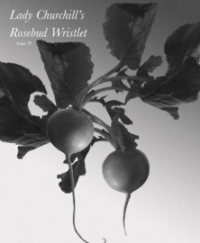 Lady Churchill's Rosebud Wristlet No. 29 - Kelly Link & Gavin J. Grant