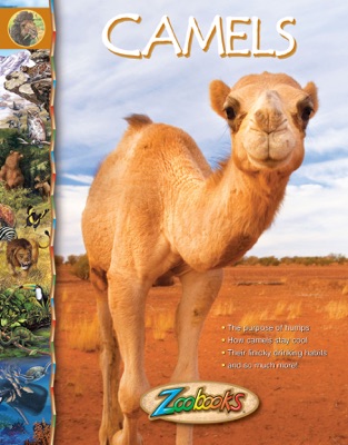 Zoobooks Camels