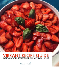 Vibrant Recipe Guide