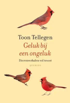 Read: Geluk bij een ongeluk Book