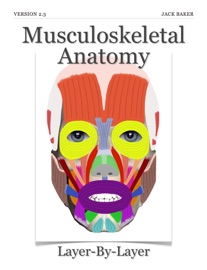 Musculoskeletal Anatomy - Jack Baker