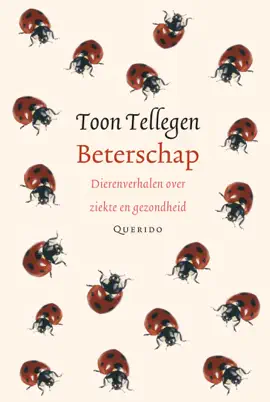 Read: Beterschap