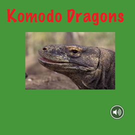 Komodo Dragons