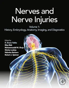 Read: Nerves and Nerve Injuries Book