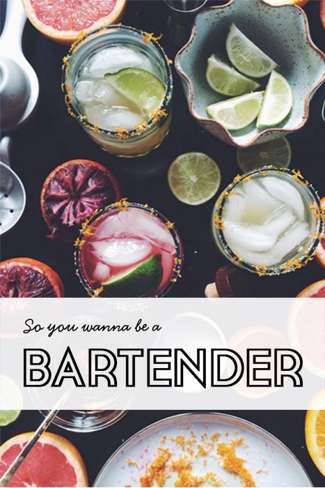 So You Wanna Be A Bartender
