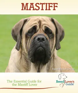 Mastiff