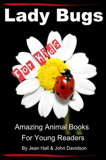 Lady Bugs: For Kids – Amazing Animal Books for Young Readers by Jean Hall & John Davidson