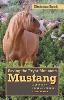 Saving the Pryor Mountain Mustang by Reed