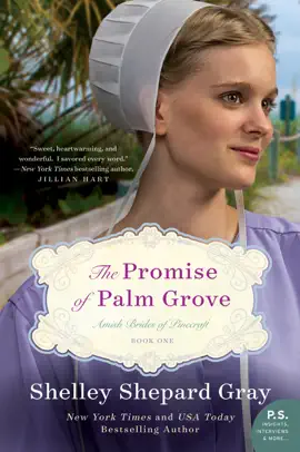 Read: The Promise of Palm Grove Book
