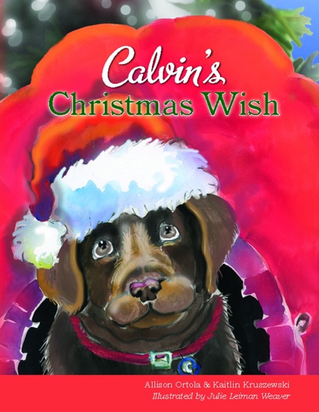 Calvin’s Christmas Wish