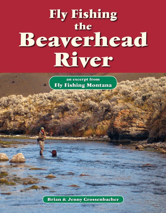 Fly Fishing the Beaverhead River