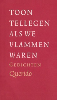 Als we vlammen waren by Toon Tellegen