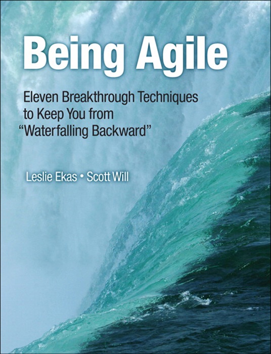 Being Agile: Eleven Breakthrough Techniques to Keep You from
