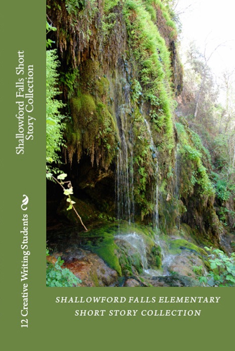 Shallowford Falls Short Story Collection