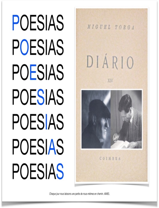Poesias Diário XIV