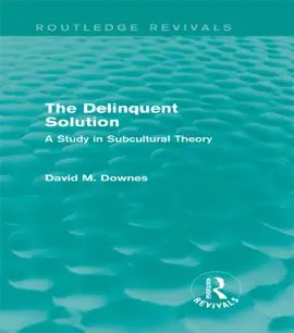Read: The Delinquent Solution Book (Routledge Revivals)