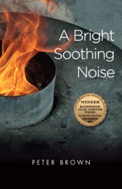 A Bright Soothing Noise - Peter Brown