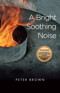 A Bright Soothing Noise by Peter Brown