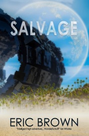Salvage - Eric Brown