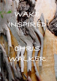 Wake Inspired Every Day - Chris Walker