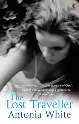 Read: Book The Lost Traveller