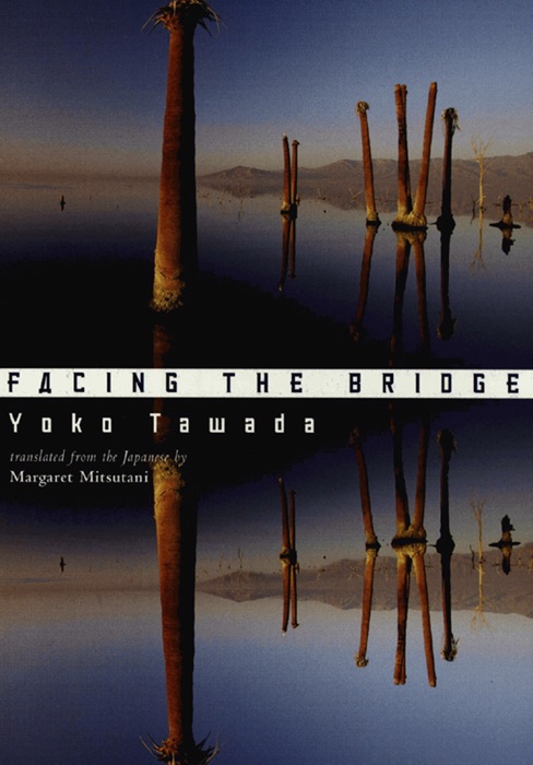 Facing the Bridge