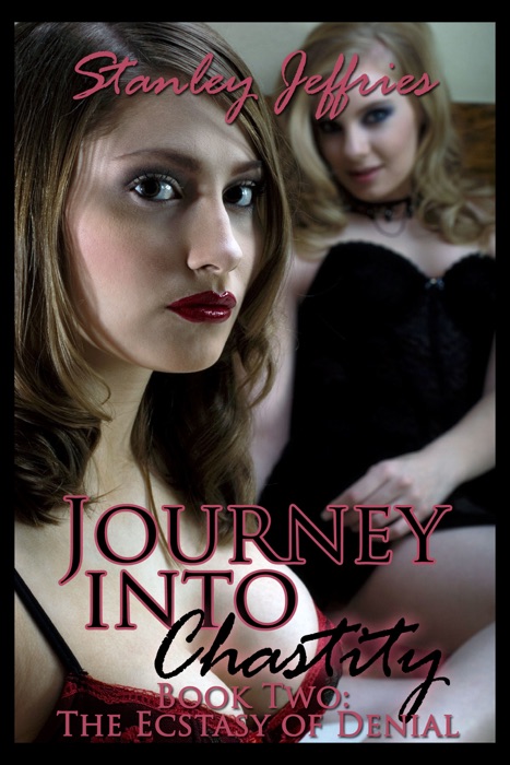 Journey Into Chastity, Book Two: The Ecstasy of Denial