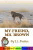 Book My Friend, Mr. Brown: A Preschool Early Learning Colors Picture Book