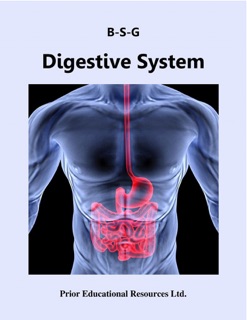 Digestive System by Roger Prior