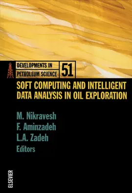 Read: Soft Computing and Intelligent Data Analysis in Oil Exploration Book