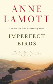 Imperfect Birds - Anne Lamott