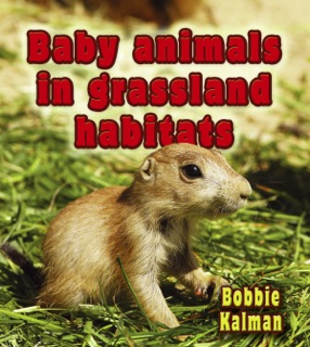 Baby animals in grassland habitats by Bobbie Kalman