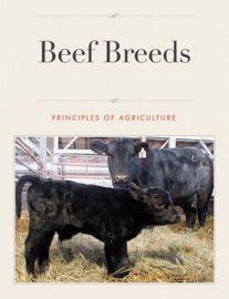 Beef Breeds - Principles of Agriculture- SDHS