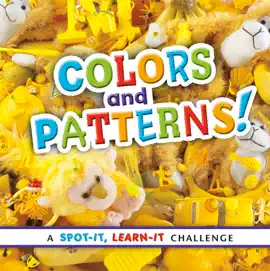 Spot It, Learn It!: Colors and Patterns!