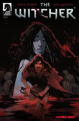 Read: Book The Witcher #5