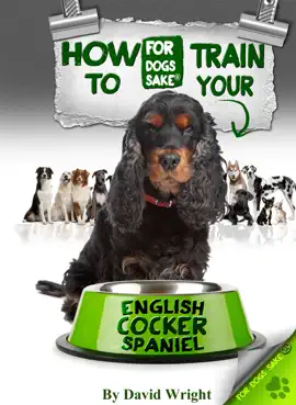 Read: How to Train Your English Cocker Book Spaniel